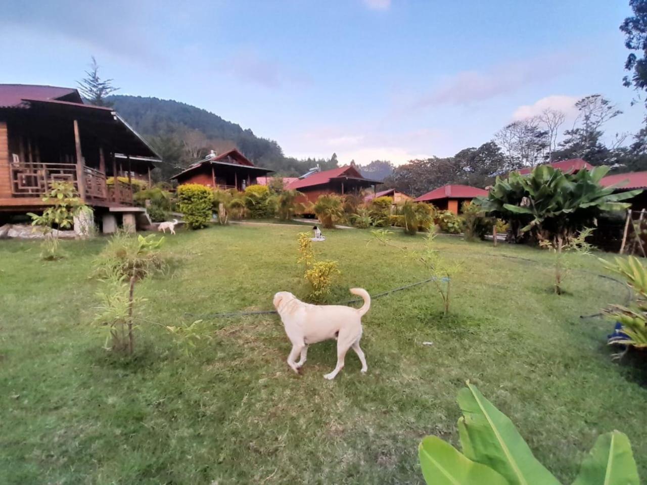 Chontaqui Eco-Lodge Oxapampa Exterior foto
