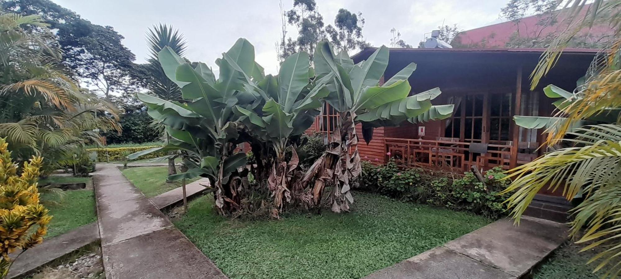 Chontaqui Eco-Lodge Oxapampa Exterior foto